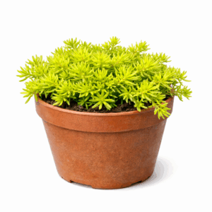 file 00000000824c722f864b8db8a7923af6