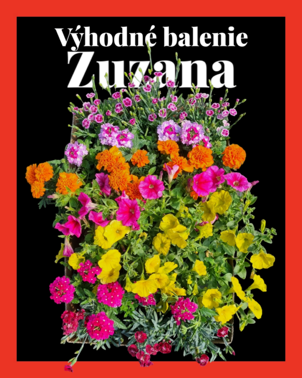 Photoroom 20240512 104425
