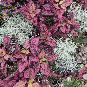 20250923 124034