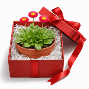 file 00000000089c71fd8c2d92acff7efae2