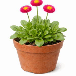 file 0000000030bc722f8885bec2cf7cb65e