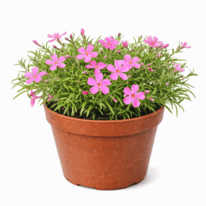 file 000000005698722fa27a9db5399da6c2