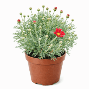 file 0000000064ec71fd89d599a35e6a1f5b