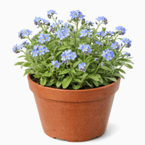 file 00000000e8f0722fbf0c3eb08a06aa27