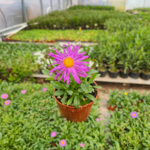 file 000000005f547243a430f985452e2661